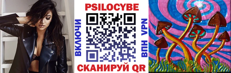 Купить закладки  Псков  Псилоцибиновые грибы Magic Shrooms 